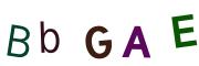 圖片的 CAPTCHA