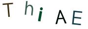圖片的 CAPTCHA