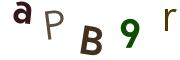 圖片的 CAPTCHA