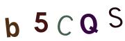 圖片的 CAPTCHA