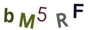 圖片的 CAPTCHA
