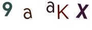 圖片的 CAPTCHA
