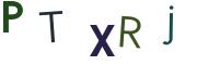 圖片的 CAPTCHA