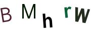圖片的 CAPTCHA