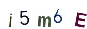 圖片的 CAPTCHA