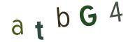 圖片的 CAPTCHA