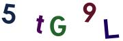 圖片的 CAPTCHA