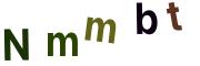 圖片的 CAPTCHA