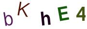 圖片的 CAPTCHA