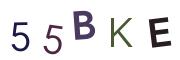 圖片的 CAPTCHA
