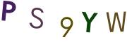 圖片的 CAPTCHA