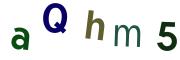 圖片的 CAPTCHA