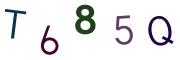 圖片的 CAPTCHA