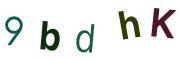 圖片的 CAPTCHA
