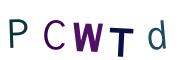 圖片的 CAPTCHA