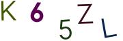 圖片的 CAPTCHA