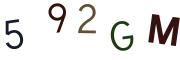 圖片的 CAPTCHA