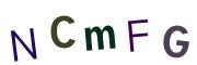 圖片的 CAPTCHA