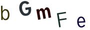 圖片的 CAPTCHA