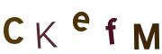 圖片的 CAPTCHA