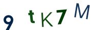圖片的 CAPTCHA