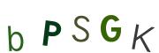 圖片的 CAPTCHA