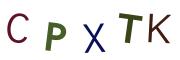 圖片的 CAPTCHA