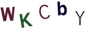 圖片的 CAPTCHA
