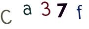圖片的 CAPTCHA