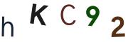 圖片的 CAPTCHA