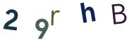 圖片的 CAPTCHA