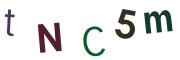 圖片的 CAPTCHA