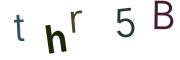 圖片的 CAPTCHA