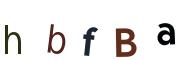 圖片的 CAPTCHA