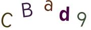 圖片的 CAPTCHA
