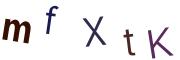 圖片的 CAPTCHA