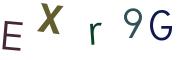 圖片的 CAPTCHA