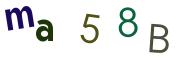 圖片的 CAPTCHA