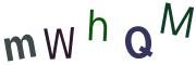 圖片的 CAPTCHA