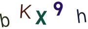 圖片的 CAPTCHA