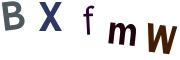 圖片的 CAPTCHA