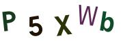 圖片的 CAPTCHA