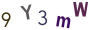 圖片的 CAPTCHA