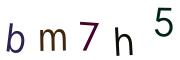 圖片的 CAPTCHA