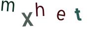 圖片的 CAPTCHA