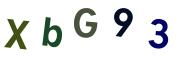 圖片的 CAPTCHA