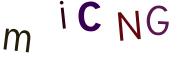 圖片的 CAPTCHA