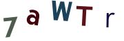 圖片的 CAPTCHA