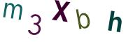 圖片的 CAPTCHA