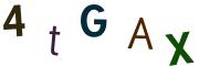 圖片的 CAPTCHA